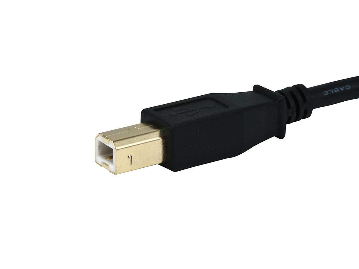 NUDE CABLE TYPE-B 5m S-L ① Amazon.com: Monoprice 10ft Gold Plated 28/24AWG USB 2.0 A